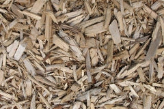 biomass boilers Brampton Ash